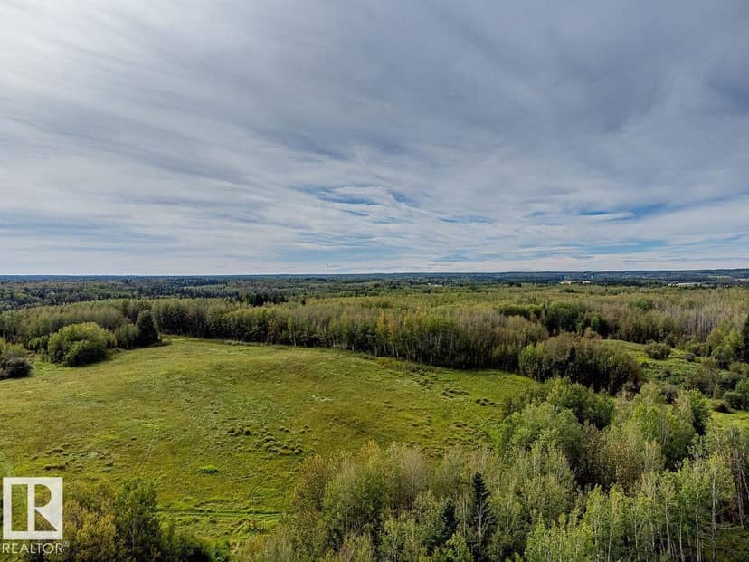 5430 Twp Road 494, Rural Brazeau County, photo 3