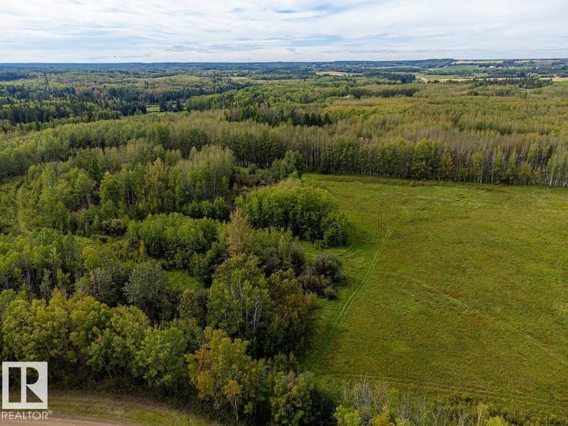 5430 Twp Road 494, Rural Brazeau County, photo 6