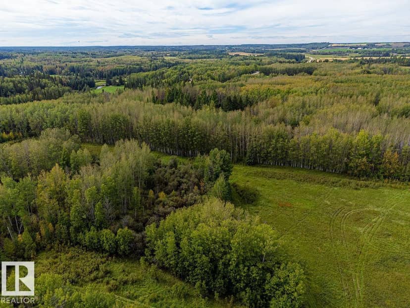 5430 Twp Road 494, Rural Brazeau County, photo 7