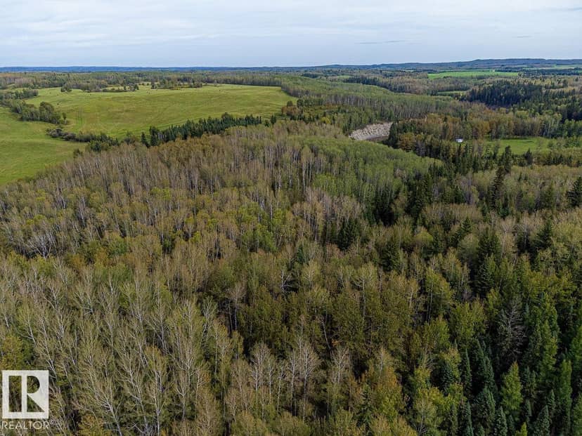 SW-29-49-5-W5, Rural Brazeau County, photo 7