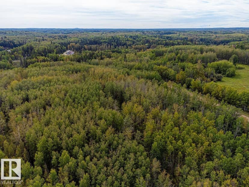 SW-29-49-5-W5, Rural Brazeau County, photo 8