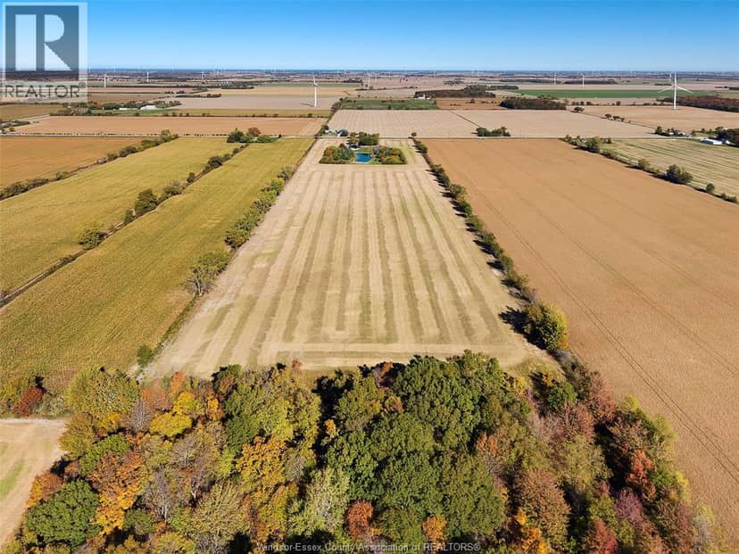 530 Road 11, Kingsville, photo 4