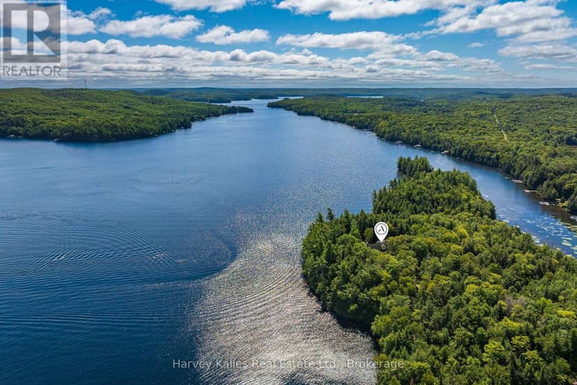 1353 Port Cunnington Road, Lake of Bays, photo 2