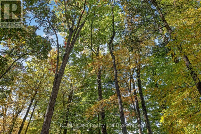 9741 Coyle Road — photo 33 of 40