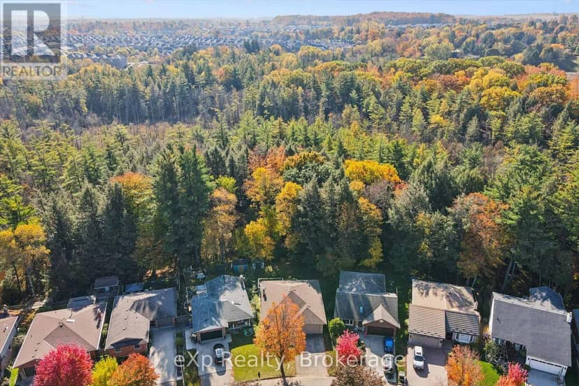 81 Sabrina Crescent, Kitchener, photo 2
