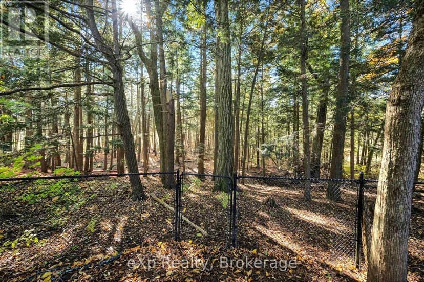 81 Sabrina Crescent, Kitchener, photo 6