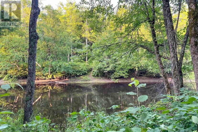 Part Lot 28 Concession 12 Black River Road — photo 10 of 17