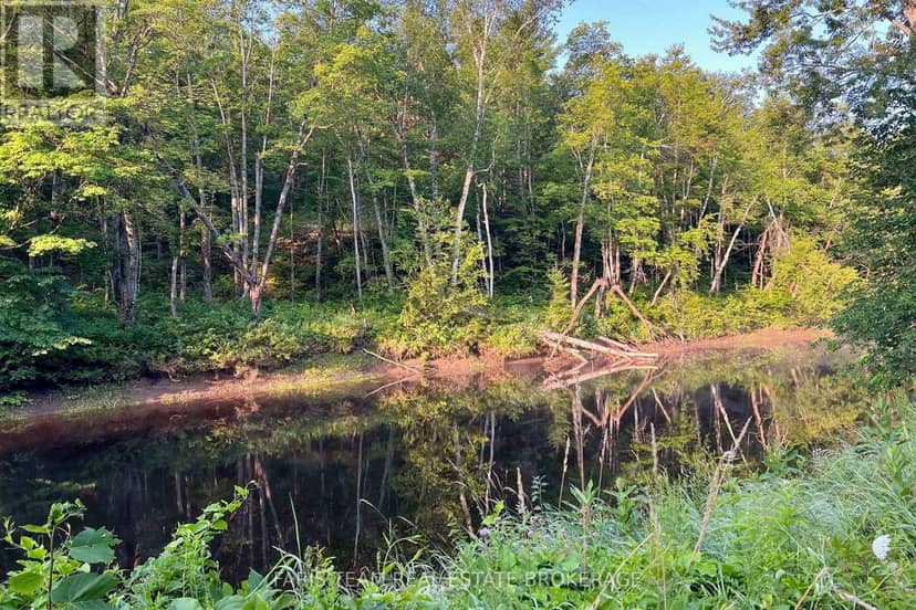 Part Lot 28 Concession 12 Black River Road — photo 12 of 17