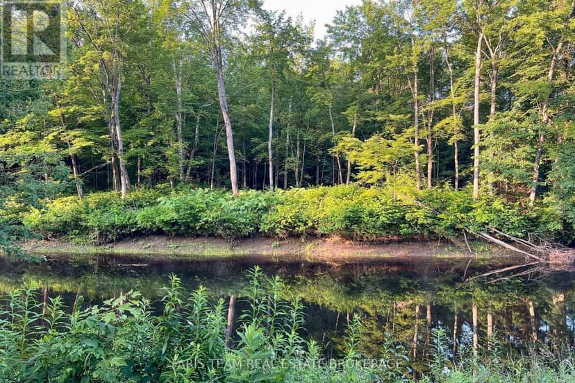 Part Lot 28 Concession 12 Black River Road — photo 14 of 17
