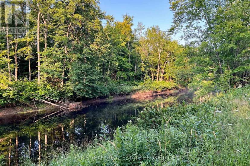 Part Lot 28 Concession 12 Black River Road — photo 15 of 17