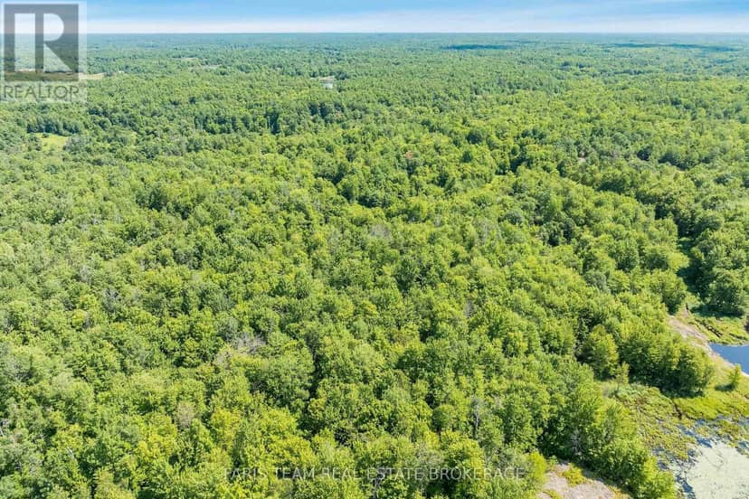 Part Lot 28 Concession 12 Black River Road, Kawartha Lakes, photo 5