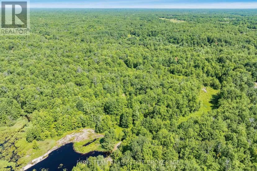 Part Lot 28 Concession 12 Black River Road, Kawartha Lakes, photo 6
