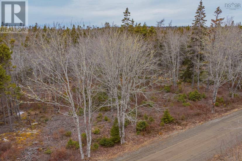 Lot, Peter Leblanc Road — photo 7 of 16