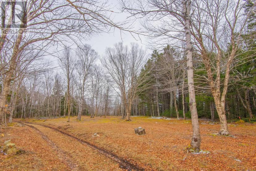 Lot, Peter Leblanc Road — photo 11 of 16
