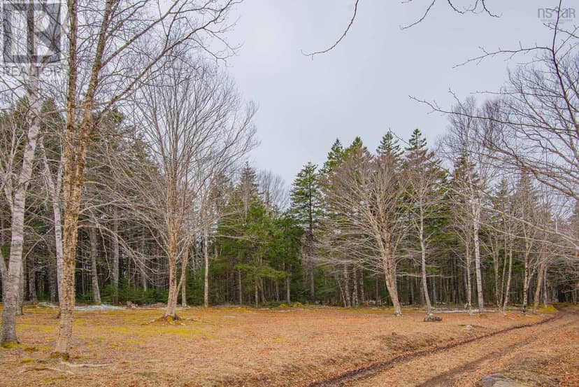 Lot, Peter Leblanc Road — photo 12 of 16