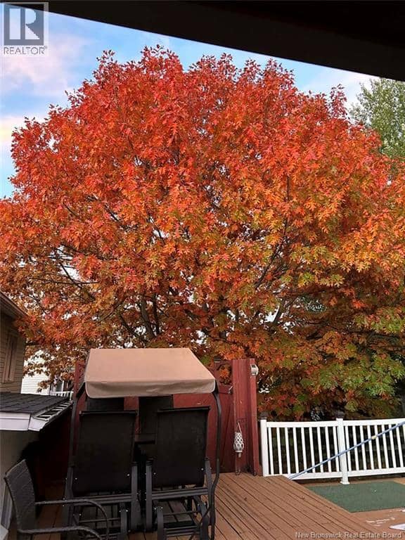 19 Belisle Avenue — photo 14 of 15