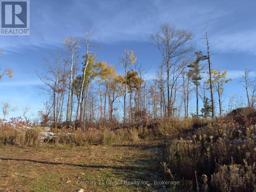 3337 County Rd 46 — photo 14 of 40