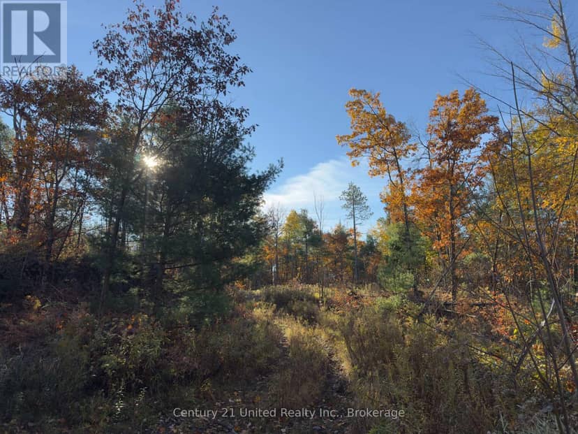 3337 County Rd 46 — photo 13 of 40