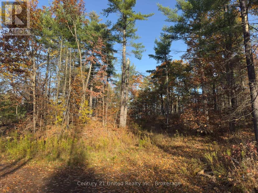 3337 County Rd 46 — photo 9 of 40