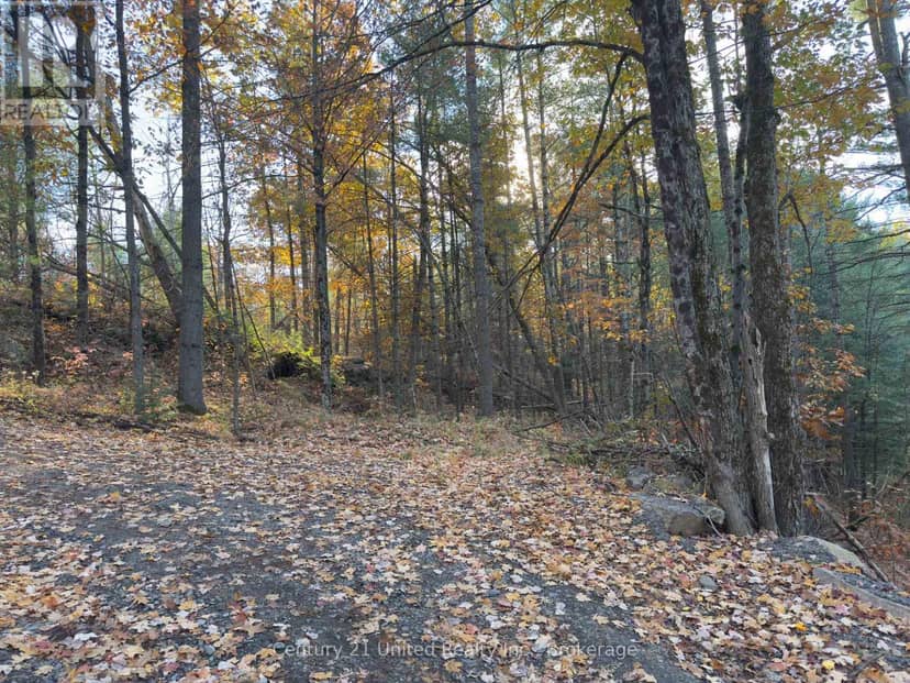 3337 County Rd 46, Havelock-Belmont-Methuen, photo 7
