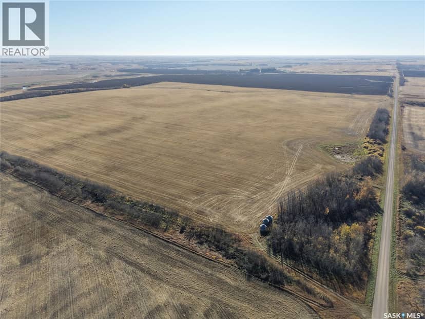 1 Premium Quarter of Grainland Near Yorkton — photo 4 of 14