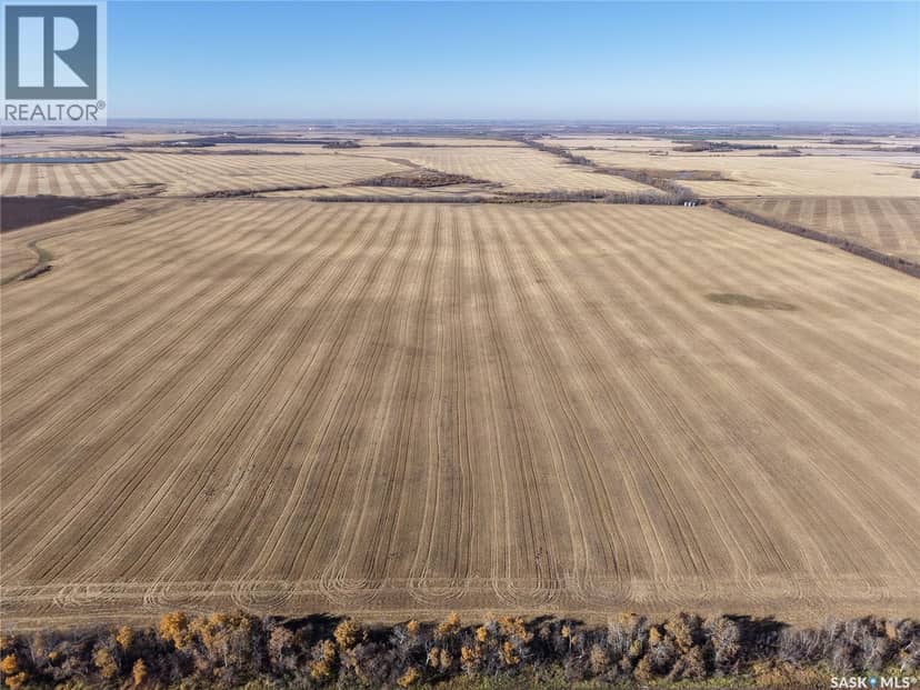 1 Premium Quarter of Grainland Near Yorkton — photo 8 of 14