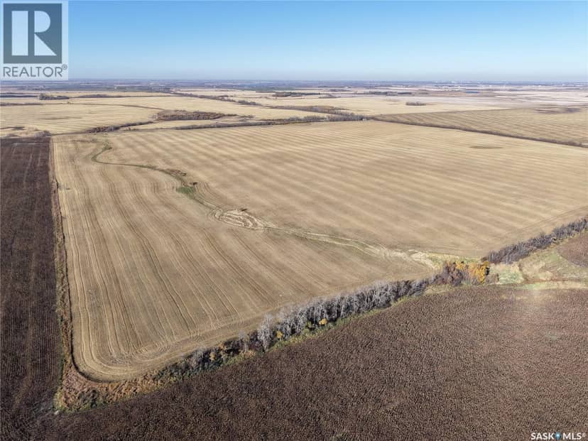 1 Premium Quarter of Grainland Near Yorkton — photo 9 of 14