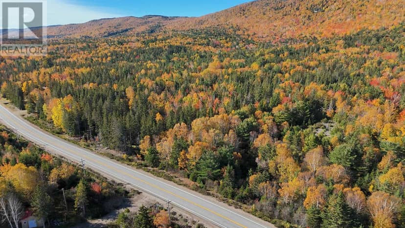 Cabot Trail, Skir Dhu, photo 3