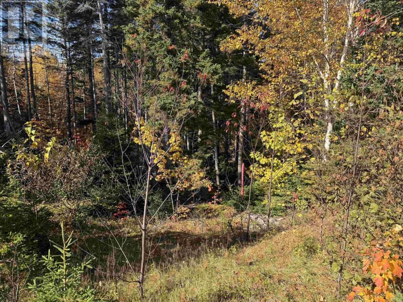 Cabot Trail, Skir Dhu, photo 4