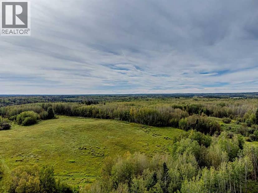 5430 Twp Road 494, Rural Brazeau County, photo 3
