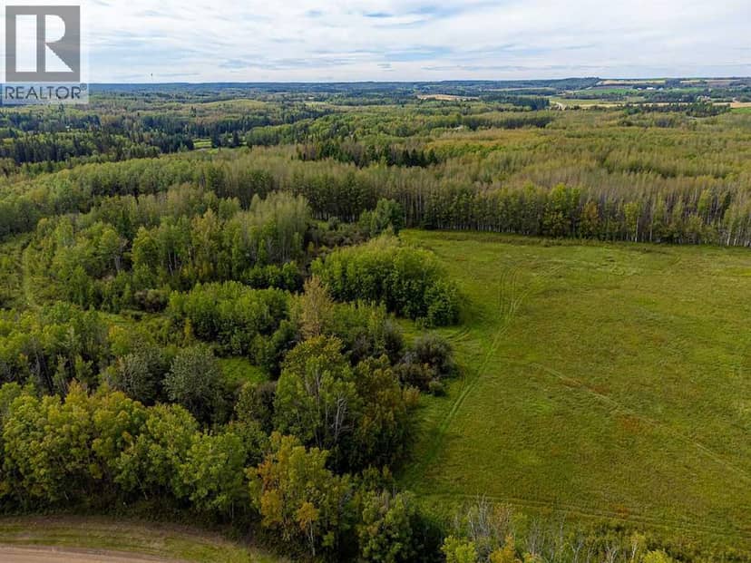 5430 Twp Road 494, Rural Brazeau County, photo 6