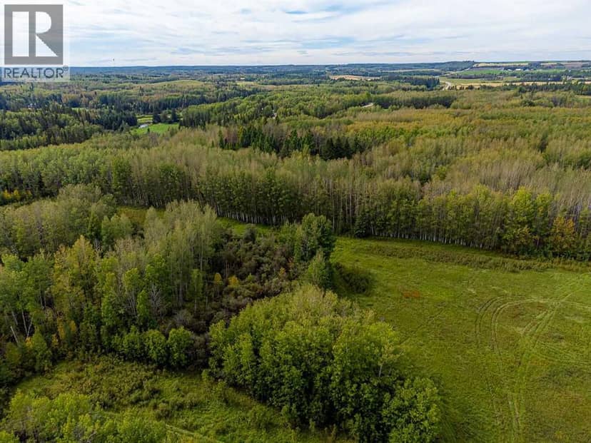 5430 Twp Road 494, Rural Brazeau County, photo 7