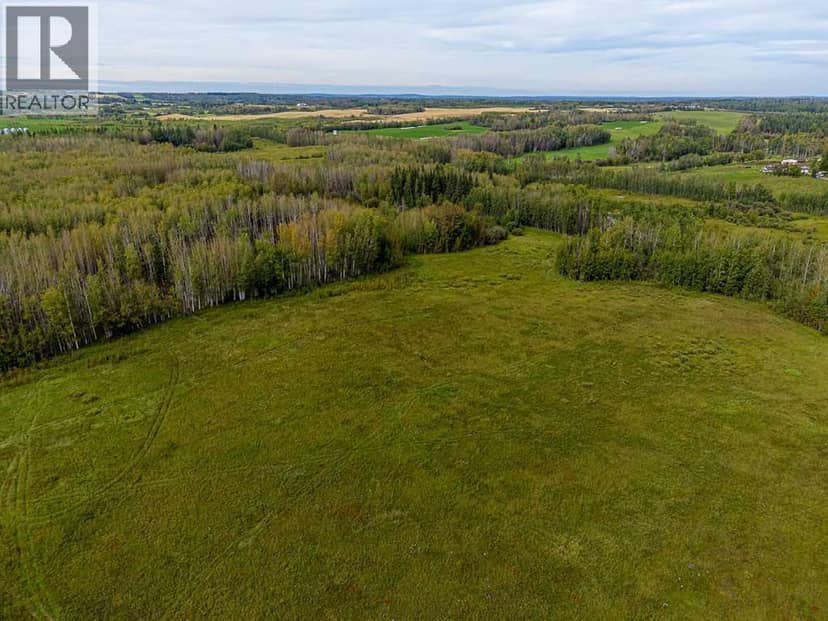 5430 Twp Road 494, Rural Brazeau County, photo 8