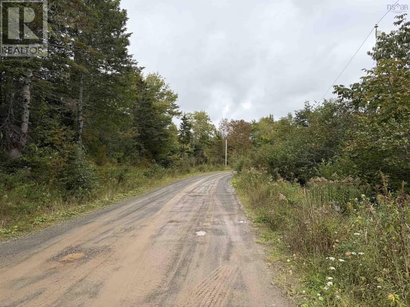 Sibley Road — photo 3 of 10