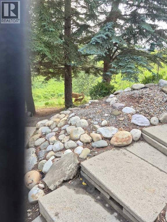 12, 800 Bowcroft Place — photo 24 of 26