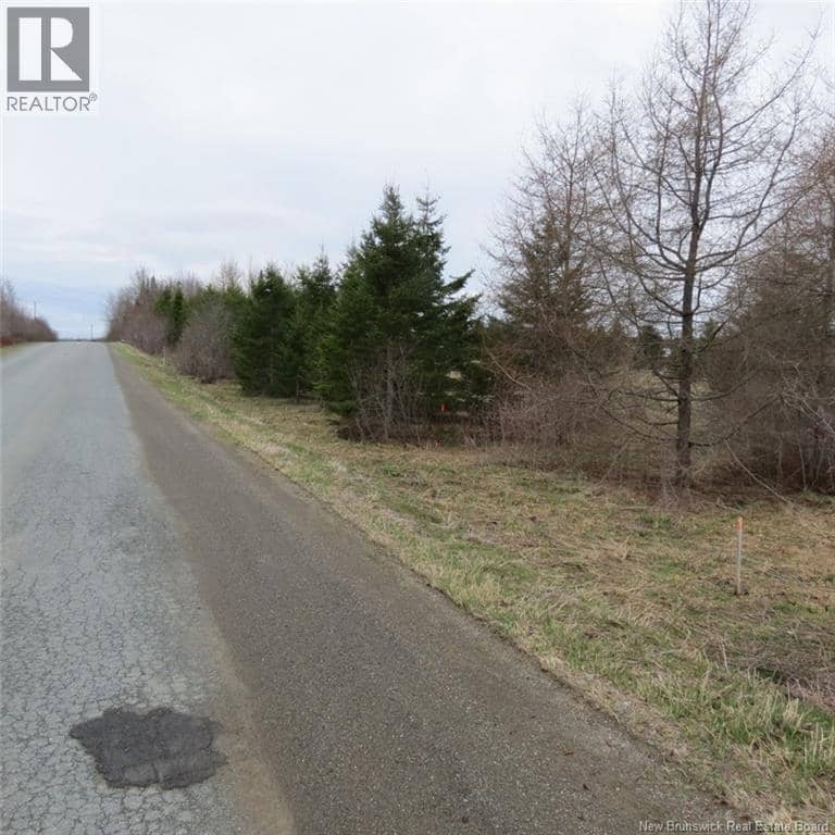 00 Knowlesville Road — photo 4 of 19