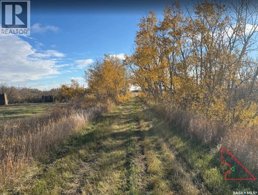 Payne Land, Rosedale Rm No. 283, photo 7