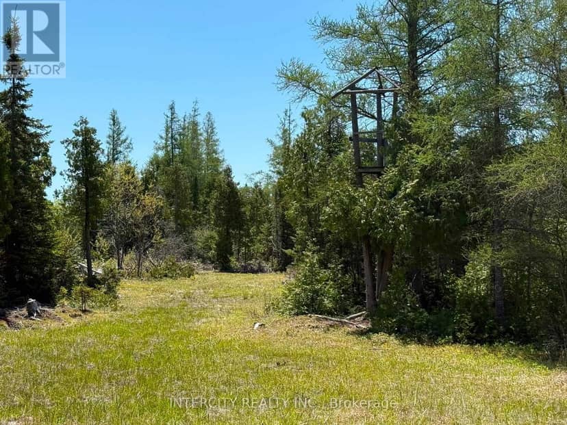 153 Bradley Drive, Northern Bruce Peninsula, photo 5