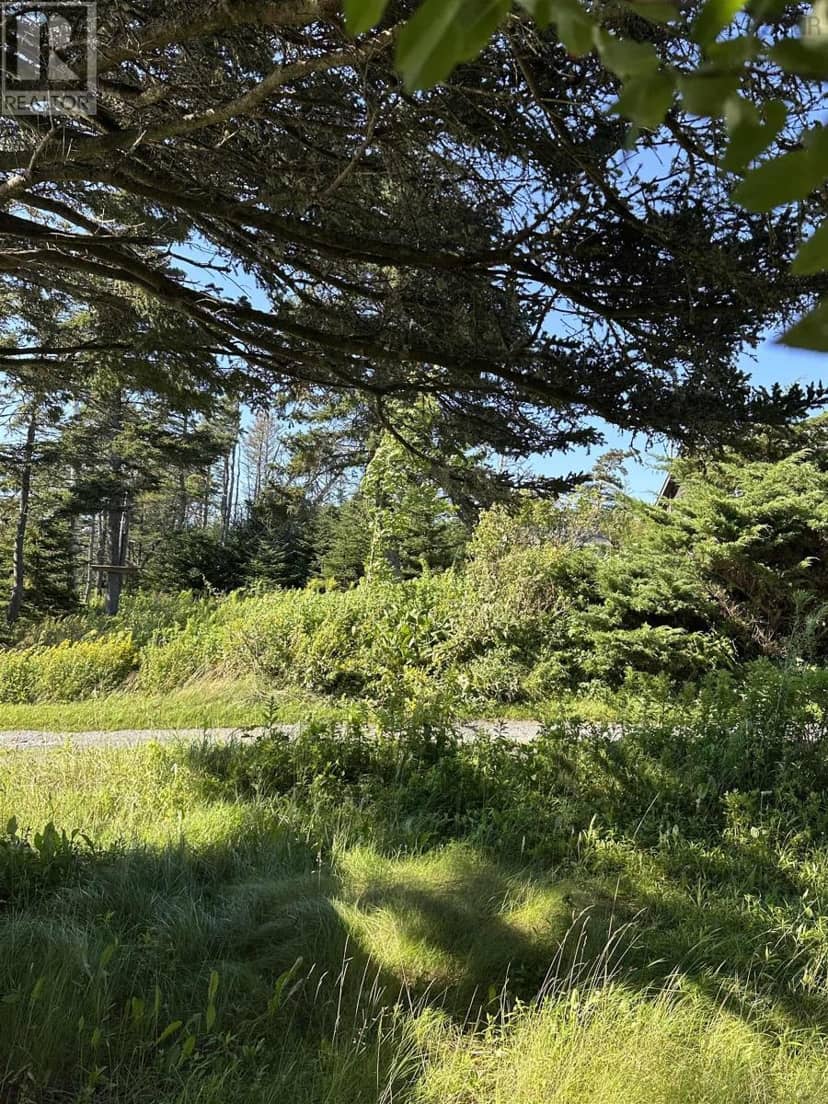 Lot 27 Hawkey Island Road — photo 19 of 19