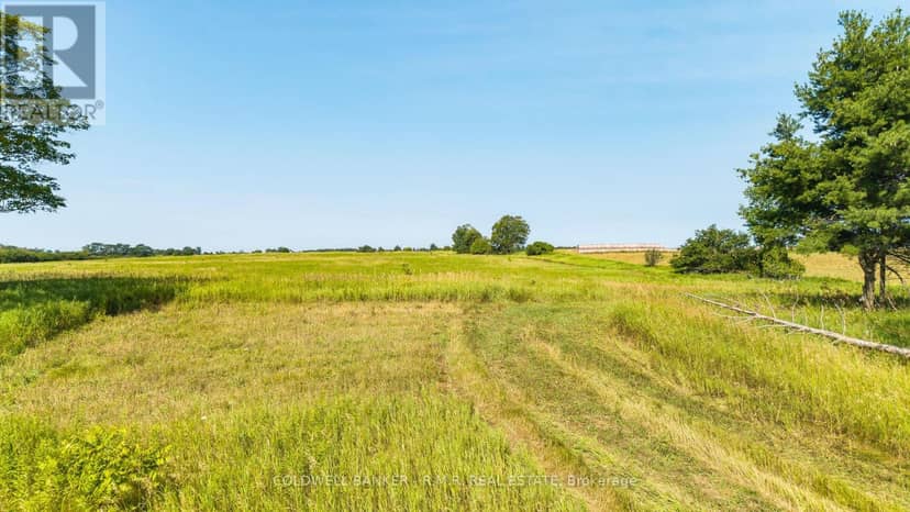 10400 And 10800 Concession 6 Road — photo 24 of 40