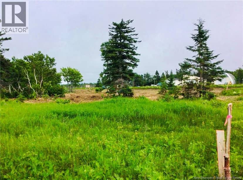 2.9 acres route 113, Haut-Lamèque, photo 5