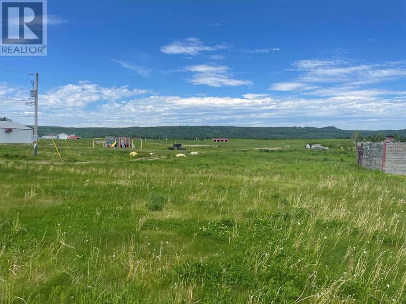 20 Forest Road, Northern Arm, photo 6