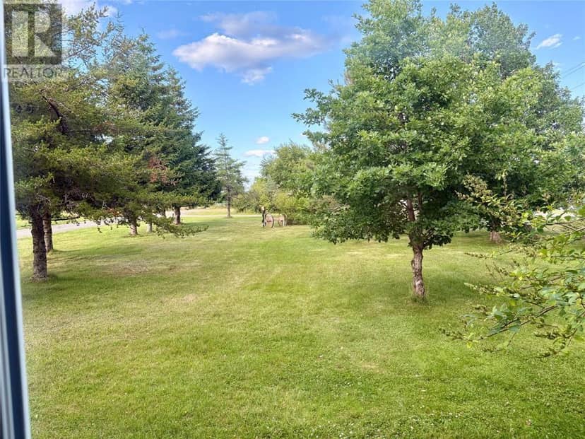 15 Squires Road, Eastport, photo 3