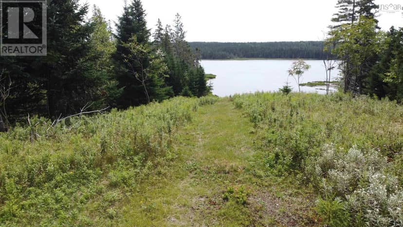 3138 Highway 320, D'Escousse, photo 6