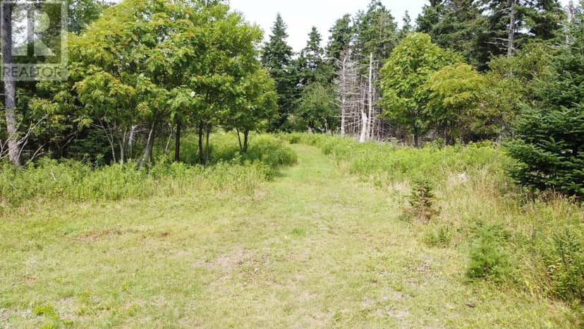 3138 Highway 320, D'Escousse, photo 7