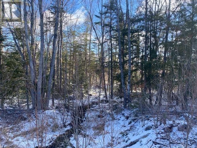 PID: 60446457 Newburne Road, Newburne