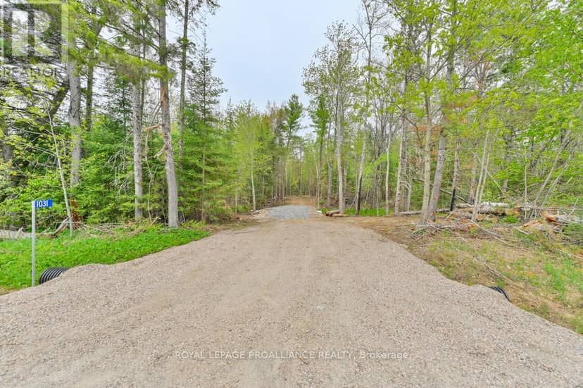 1031 Road 506, North Frontenac, photo 5