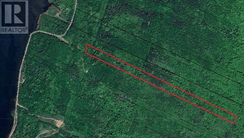 MacGarry Road, Grand Étang