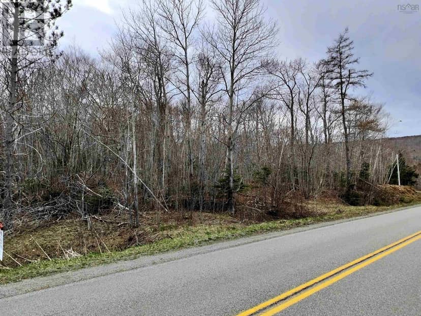 Lot BM-1 Marble Mountain Road, West Bay Marshes, photo 3