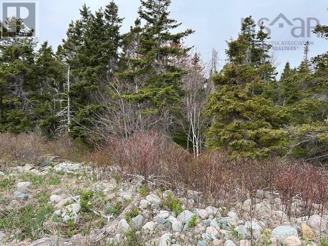 Cabot Trail, Indian Brook, photo 6